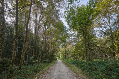 Gemeinde Altötting Landkreis Altötting Forst Fürstenweg (Dirschl Johann) Deutschland AÖ